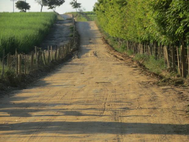 Estrada vicinal Ibirapua