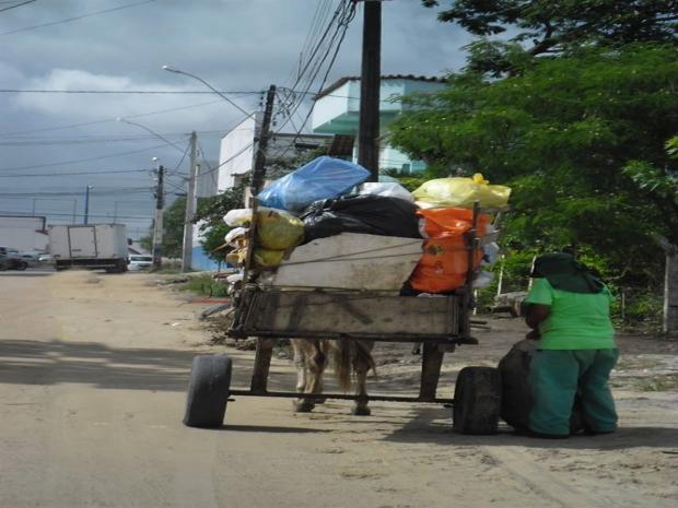Biosanear recolhe kixo em carroca (1)