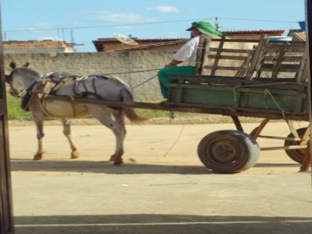 Biosanear recolhe lixo em carroca (1)