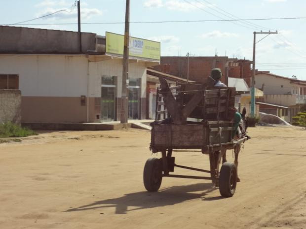 Biosanear recolhe lixo em carroca (2)