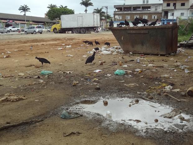 Lixo e Urubus proximo ao Mercadao (4)