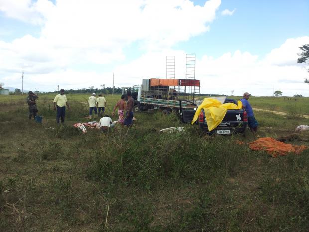 Abate clandestino de gado (2)