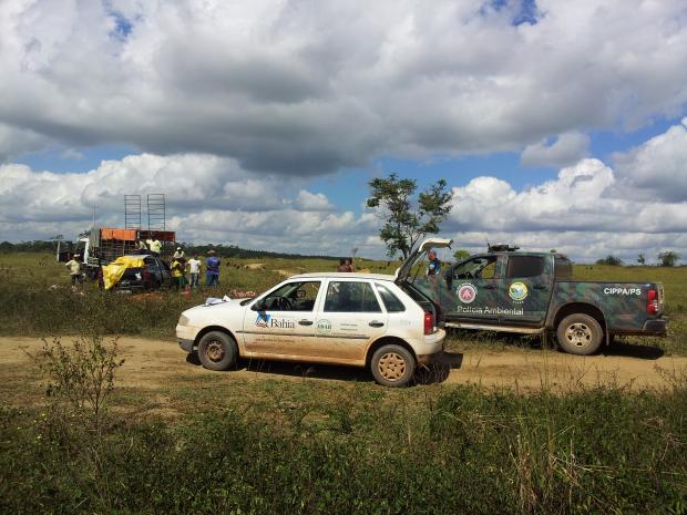 Abate clandestino de gado (3)