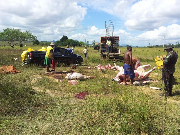 Abate clandestino de gado (5)