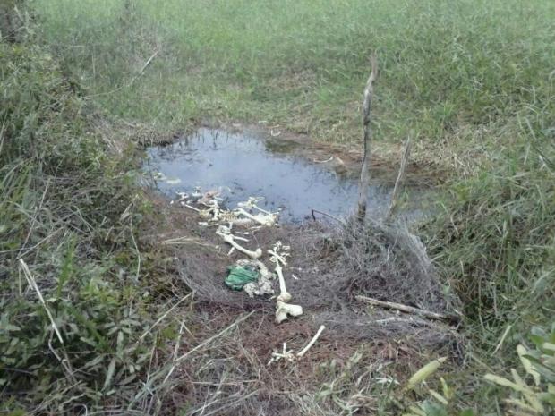 Ossada humana em Posto da Mata