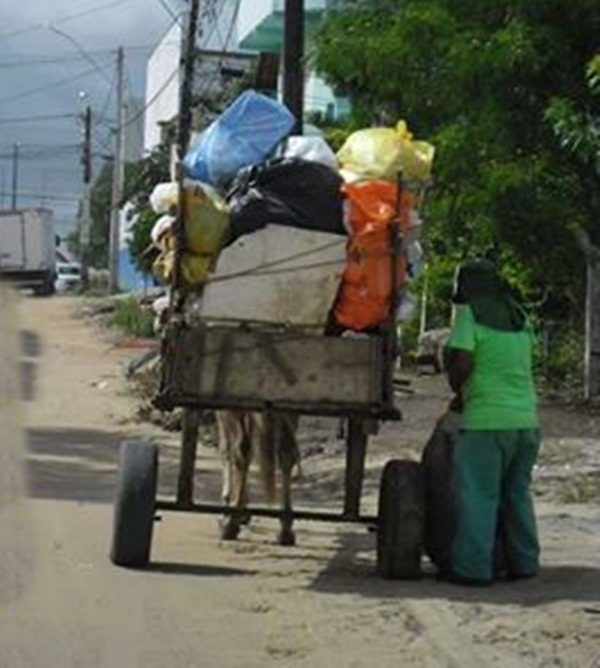 Biosanear-recolhe-lixo-em-carroca2