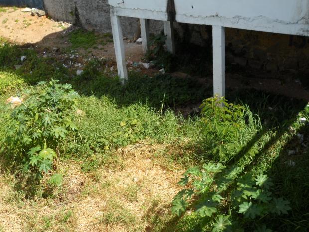 Rios Itanhem (Alcobaca) e Agua Fria estao morrendo (3)