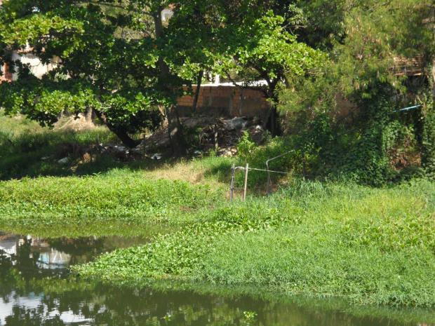 Rios Itanhem (Alcobaca) e Agua Fria estao morrendo (4)