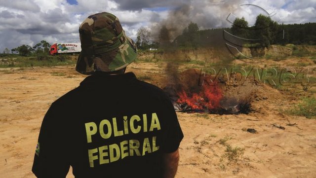 Policia Federal