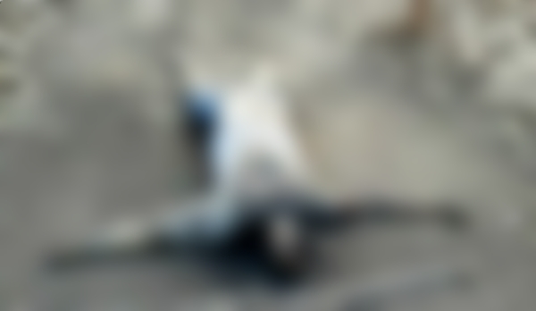 Corpo em decomposicao