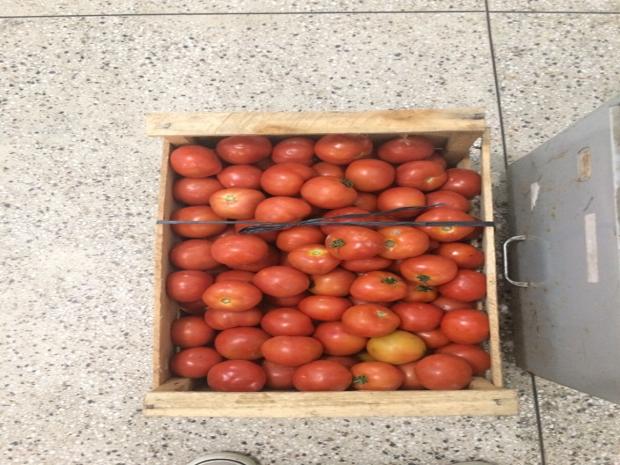 Caixa de tomate roubada por Jair Gomes da Silva