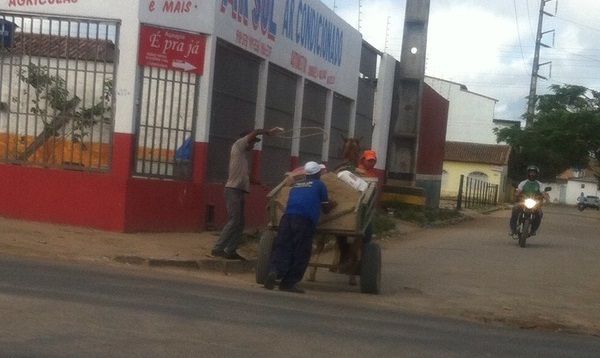 Carroca com animal surrado2