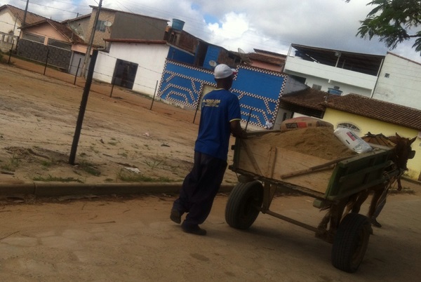 Carroca com animal surrado4