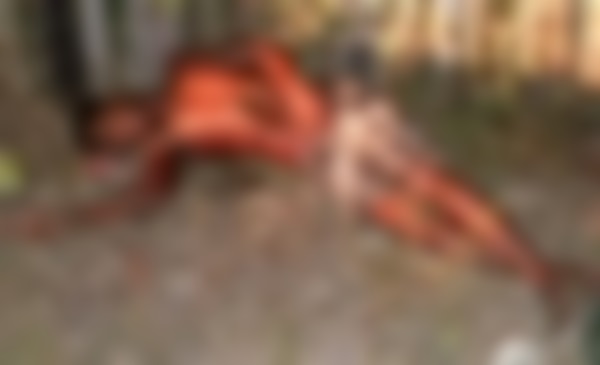 Fernando Lima da Conceicao