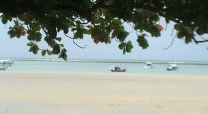 tn_Praia de Cumuruxatiba