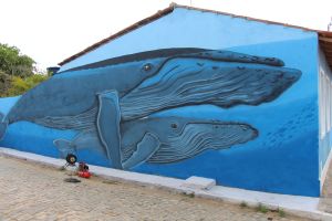 tn_Projeto Baleia Jubarte celebra 27 anos com festa na Bahia (7)