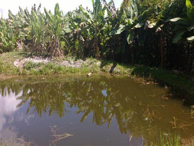 Area aterrada por Arnaldinho2