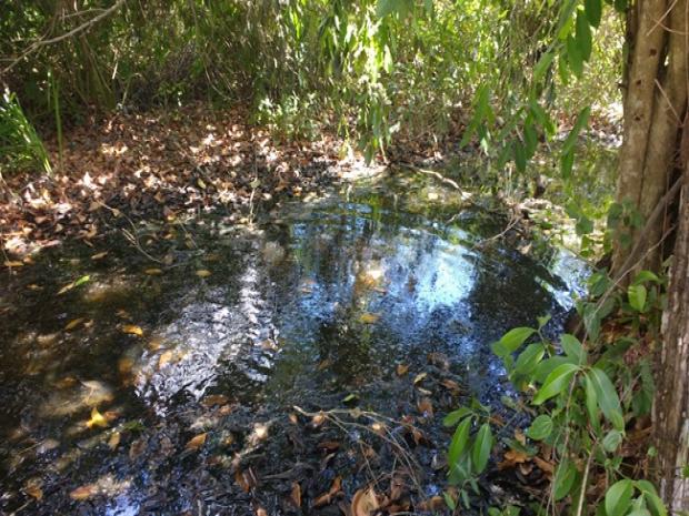 Area aterrada por Arnaldinho3