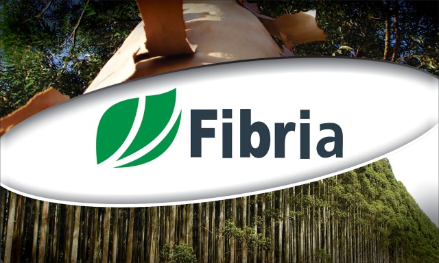 Fibria (2)