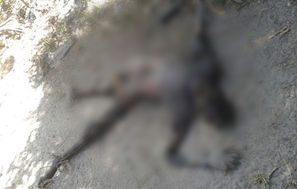 Manoel Messias Gomes Ferreira (2)