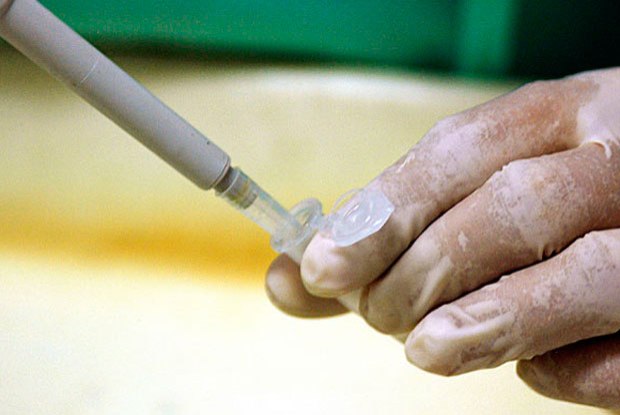 Teste vai permitir diagnosticar dengue, zika e chikungunya