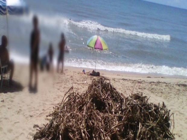 Prefeitura de Alcobaca enterra lixo na praia3