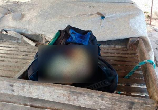 Pedro Gonzaga Neto  (1)