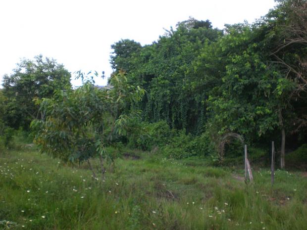 Area ocupada por Sem-Teto3