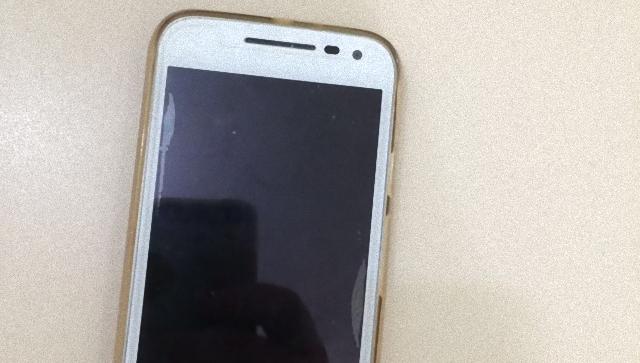 Lucinda Alves dos Santos (2)