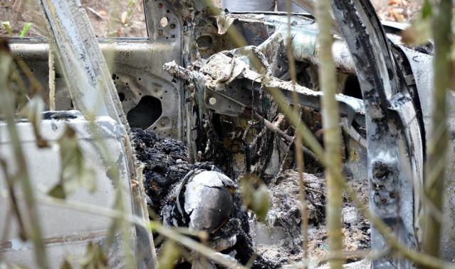 Luiz Carlos da Silva (4)