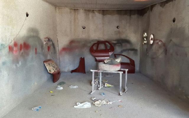 William Souza Vieira (4)