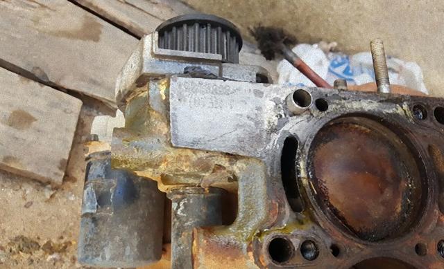 William Souza Vieira (5)