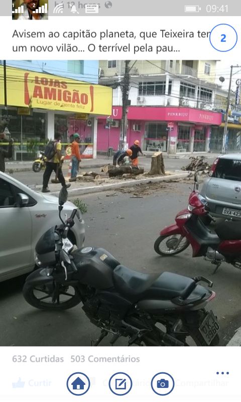 Arvore derrubada na praca da Biblia