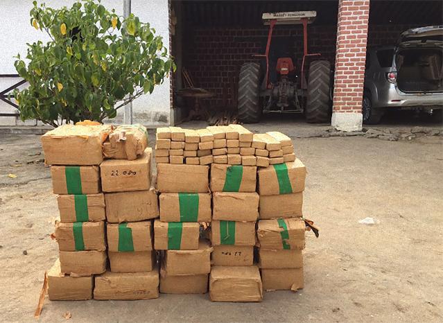 Marcelo Paiva Caetano Rodrigues (2)