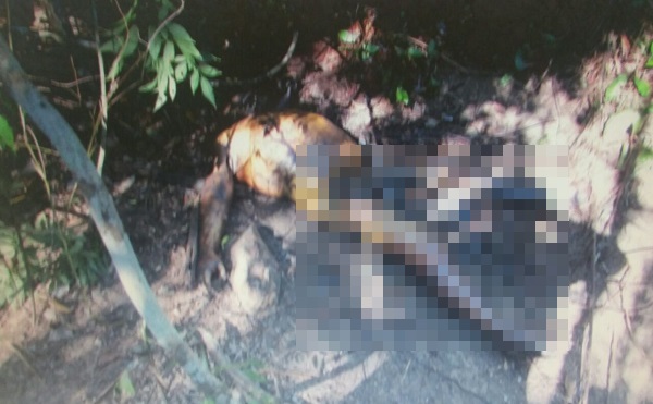 Idosa em Rancho Alegre