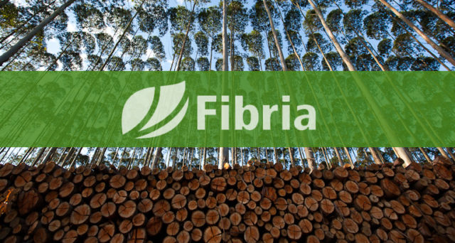 fibria