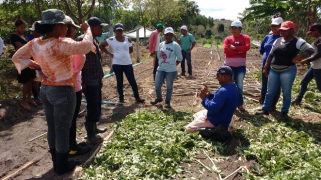 Fibria promove oficina de agrofloresta para agricultores do sul da Bahia (1)