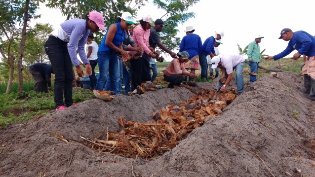 Fibria promove oficina de agrofloresta para agricultores do sul da Bahia (2)
