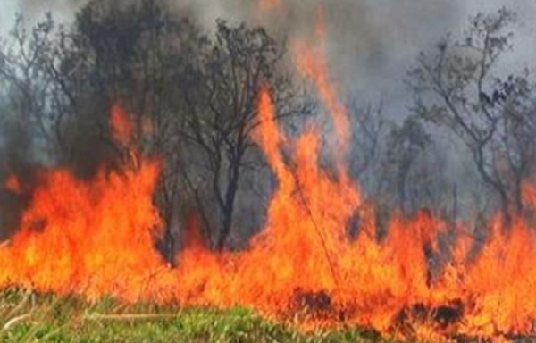 corpo-de-bombeiros-insendio