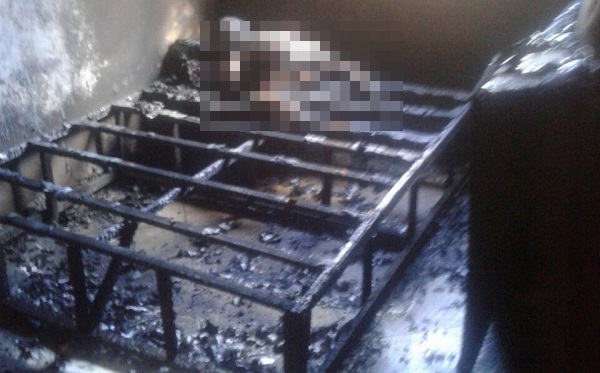 samuel-barbosa-krull