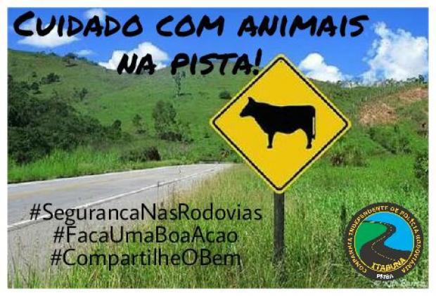 animais