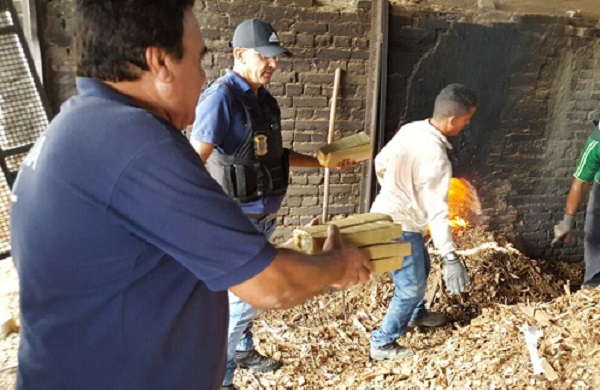 DTEDRACO incinera mais de 42kg de drogas em Teixeira de Freitas (1)