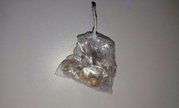 Esterfany Alves da Costa1